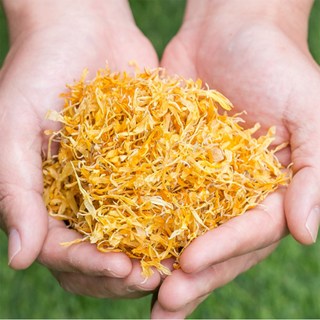 국화차(감국) 200g 국화꽃 차 꽃차 꽃잎차, 300g, 1개, 1개입