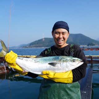 자연산 제철 손질 대방어 모둠회 500g, 1세트, 500g 내외