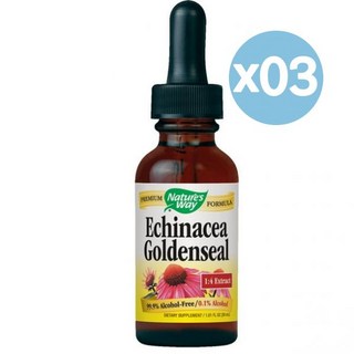 Nature's Way 네이처스웨이 에키네시아-골든실 30ml 3팩 Echinacea-Goldenseal, 3개