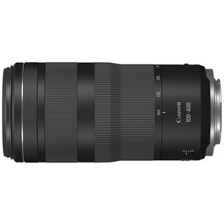 캐논 RF 100-400mm 사용 모습