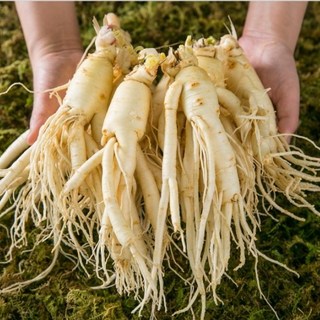 세척 난발삼 대, 500g, 1개
