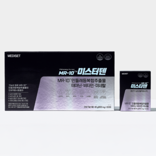 파미니티 MR-10 미스터텐