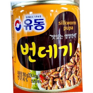 유동 번데기캔 280g 통조림 단백질, 1개