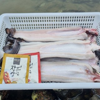 산지직송 통영 자연산 손질 바다 장어 특대 소스2종, 1개, 2kg