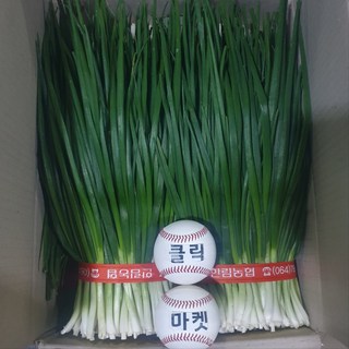 클릭마켓 국내산 깐쪽파 쪽파 파김치 김장 용, 1개
