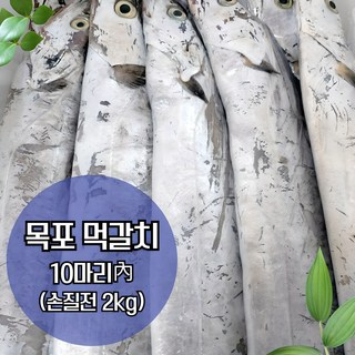 목포 갈치 생물 먹갈치 실속형(6~9마리 손질전 2kg), 1개