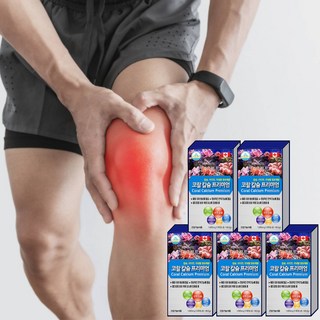 코랄칼슘 프리미엄 1 650mg 칼마디아 칼슘 마그네슘 비타민D 아연 90캡슐 5개, 90정