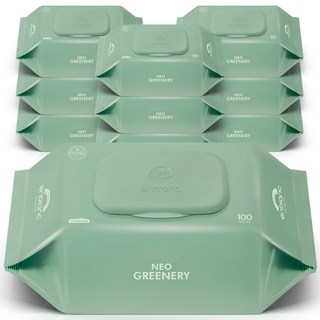 앙블랑 아기물티슈 대용량 네오 그리너리 50평량 100매 10팩, 10개, 50g