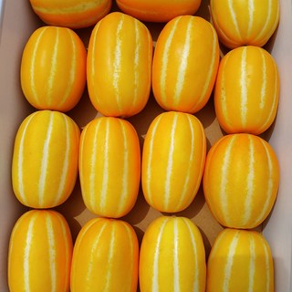 [제철곳간]초고당도 산지직송 아삭 성주 꿀참외 5kg 가정용, 1박스, 중소과 5kg(15~25과)