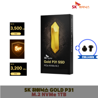 SK하이닉스 Gold P31 NVMe SSD 1TB