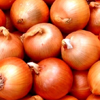 국내산 양파 3kg / 5kg / 10kg 특대 중소과 만생 장아찌용 2023년 햇양파, 5kg(특대과), 1개