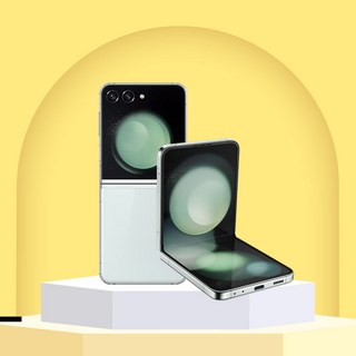 갤럭시 Z플립5 그라파이트