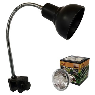 칸후아쿠아리움 파충류 할로겐 조명