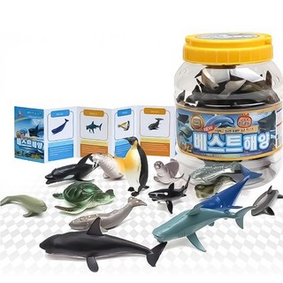베스트 통해양 교육용카드포함, 1개