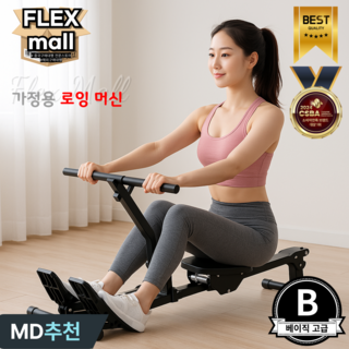 플렉스몰 로잉머신 가정용 홈트 저소음 유산소 노젓기 코어 실내 전신운동, B
