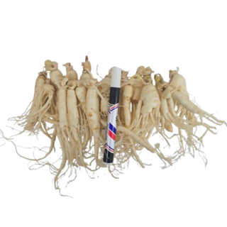 금산인삼 수삼 파삼 무료세척 1채 750g, 750g(무료고압세척, 약50g감량), 1개