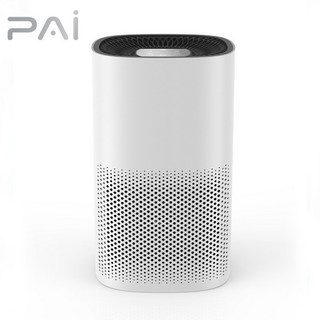 5. K-PAI 케이..