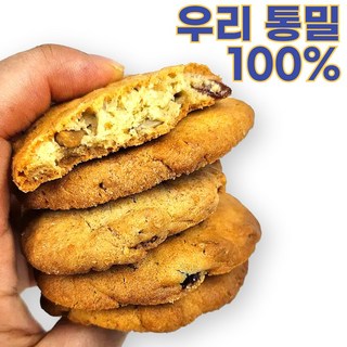 향연지 100v프로 우리밀 통밀쿠키 크랜베리 호두 해바라기씨 땅콩 건강 수제쿠키, 10개, 20g