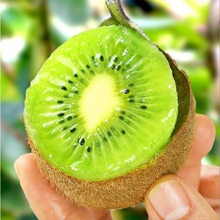 [백화점Vip용] 신지직송 당도선별 국내산 그린키위 참다래, 1박스, 3kg(중과)