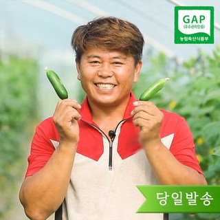 수분 가득 미니오이 피클 오이지 스낵 제철 간식용 1kg 2kg 3kg 5kg, 1박스, 클로렐라 미니오이 1kg