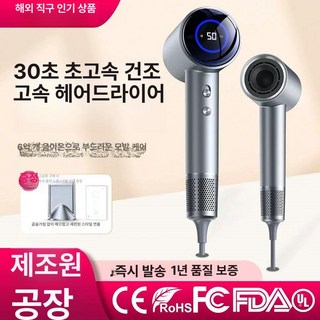 차이슨 헤어 드라이기 BLDC 저소음 음이온