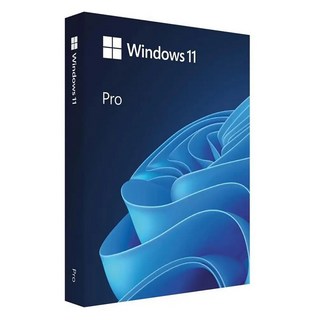 마이크로소프트 Windows 11 Pro FPP 한글