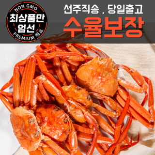 5. 100% 수율보..