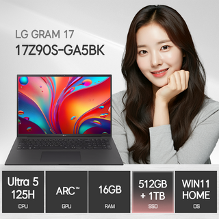 LG전자 그램 17Z90S-GA5BK