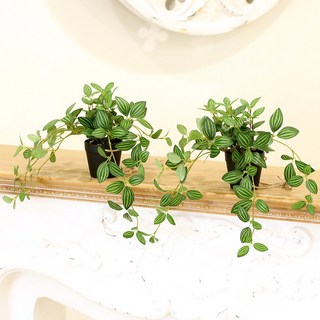 인테리어 조화 행잉플랜트 벽장식 가랜드 뉴행잉넝쿨화분 1세트 페페 2P 상품 이미지