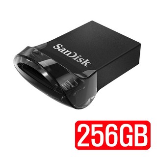 샌디스크 울트라 핏 USB 3.1 플래시 드라이브 SDCZ430, 256GB, 1개