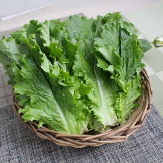 로메인상추4kg