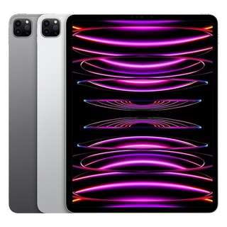 Apple 정품 2022 아이패드 프로 11 4세대 M2칩, 스페이스그레이, 1TB, Wi-Fi