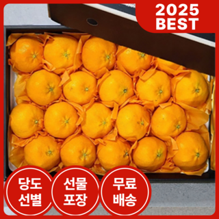 제주직송 고당도 프리미엄 레드향 설 명절 선물세트 당도선별 제주 과일, 1박스, 4.5kg (중과, 18-23개 내외)
