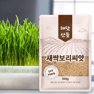 국산 새싹보리씨앗 1kg (500g x 2봉) 지퍼백 소포장 l 겉보리 보리새싹 키우기, 500g, 2개