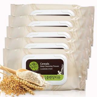 과일나라 세안이야기 곡물 딥 클렌징티슈, 100매입, 5개