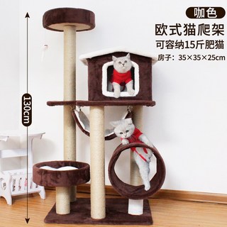 배달 고양이 애완동물 점프 새끼 나무 드림 가구 무이마린 놀이 광폭사다리