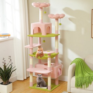 3. PAWZ Roa..