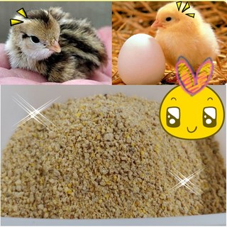 [꼬꼬맘마01] #01번 명품기능성초이사료 병아리전용사료 예방접종이 필요없는 기능성 병아리전문사료, 2kg, 1개