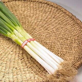 국내산 대파 1단/1kg, 없음, 1kg, 1개