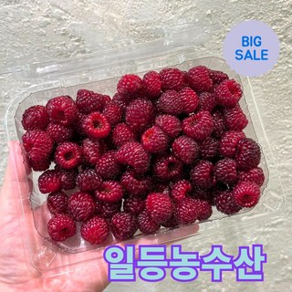 초특가 금메달농수산 25년 국내산 급냉 산딸기, 1개, 500g