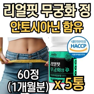 식약청인증 무궁화 핏 타블렛 무궁 화추출물 안토시아닌 히비스커스 모로실 복합물 정, 5개, 60정