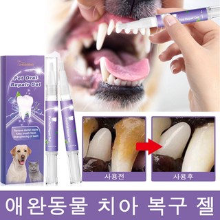 쉬즈곤 부스트 강아지 바르는 치약