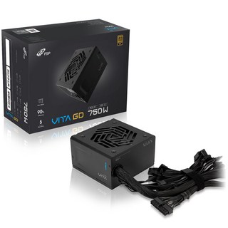 FSP VITA GD 750W 80PLUS GOLD ATX3.1 파워서플라이