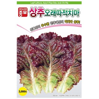 아시아종묘 씨앗 상추 오래따적치마 3000립, 1개
