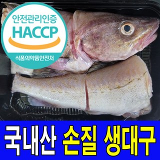 국내산 주문진 동해안 당일조업 손질 생대구 2마리 2kg내외 HACCP해썹 인증업체 주문진 대구, 1개, 2kg