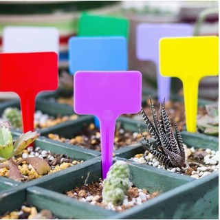 관제꽃꽂이학원 추천