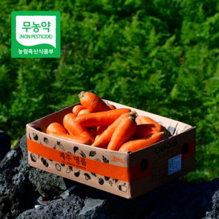 5. 제주 구좌 당근..