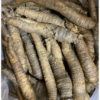 [국내산] 강원도 횡성 흙더덕 생더덕 산지직송 더덕구이용 무침용, 1개, 중품(15~20뿌리) 500g