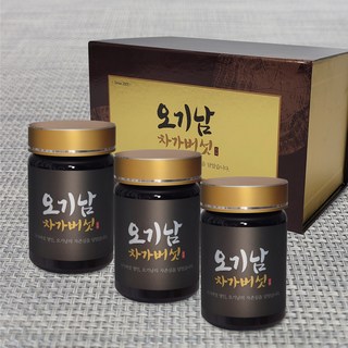 오기남 프리미엄 차가버섯추출분말 300g, 3개, 100g