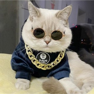 반려동물 선글라스 11종 고양이 강아지, 미러그린퍼플, 1개